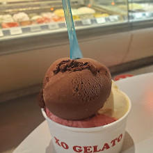 XO Gelato