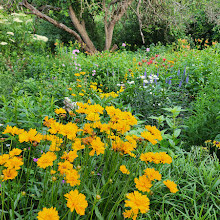 Fletcher Wildlife Garden