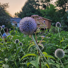 Fletcher Wildlife Garden