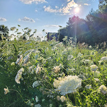 Fletcher Wildlife Garden