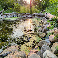 Fletcher Wildlife Garden