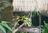 Nickelodeon Lost Lagoon at Sunway Lagoon