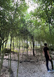 Bamboo Garden