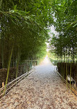 Bamboo Garden