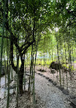 Bamboo Garden