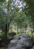 Bamboo Garden