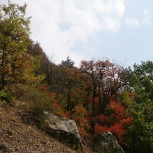 National park golestan