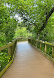 Oakland Nature Preserve