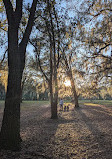 Lake Hiawatha Preserve