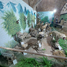 Neyshabur Wildlife Museum