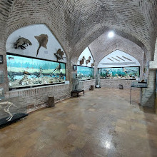 Neyshabur Wildlife Museum