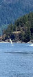 Campbell River Whale Watching and Adventure Tours