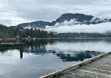 Campbell River Whale Watching and Adventure Tours