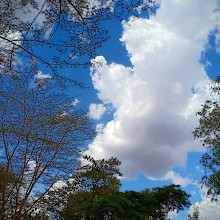 Langata Botanical Gardens