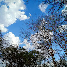 Langata Botanical Gardens