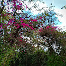 Langata Botanical Gardens