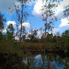 Langata Botanical Gardens