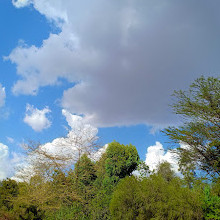 Langata Botanical Gardens