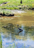 Aldridge Creek Greenway