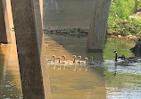 Aldridge Creek Greenway