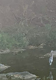 Aldridge Creek Greenway