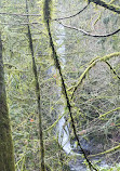 Goldstream park