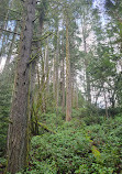 Goldstream park