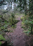 Goldstream park