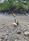 Telegraph Cove Beach Access