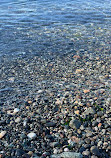 Telegraph Cove Beach Access