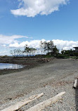 Telegraph Cove Beach Access