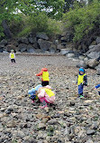 Telegraph Cove Beach Access