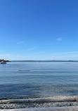 Telegraph Cove Beach Access