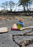 Telegraph Cove Beach Access