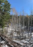 Beaver Ponds Trailhead