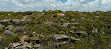 Bouddi Lookout