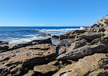 Maroubra to Malabar Coastal Walk