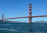 San Francisco Whale Tours