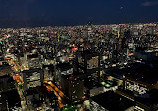 Horizon Tokyo