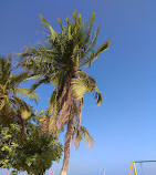 Пляж Хорфаккан