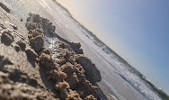 شاطئ خورفكان