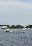 Newburyport Whale Watch