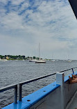 Newburyport Whale Watch