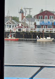 Newburyport Whale Watch