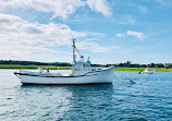 Cape Ann Harbor Tours