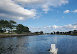 Cape Ann Harbor Tours