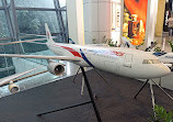 Aircraft Model Display