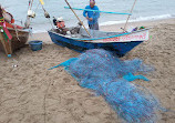 Local Fishing Market Jomtien