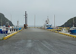 Harbour Authority