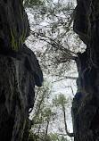 Nottawasaga Lookout Provincial Nature Reserve